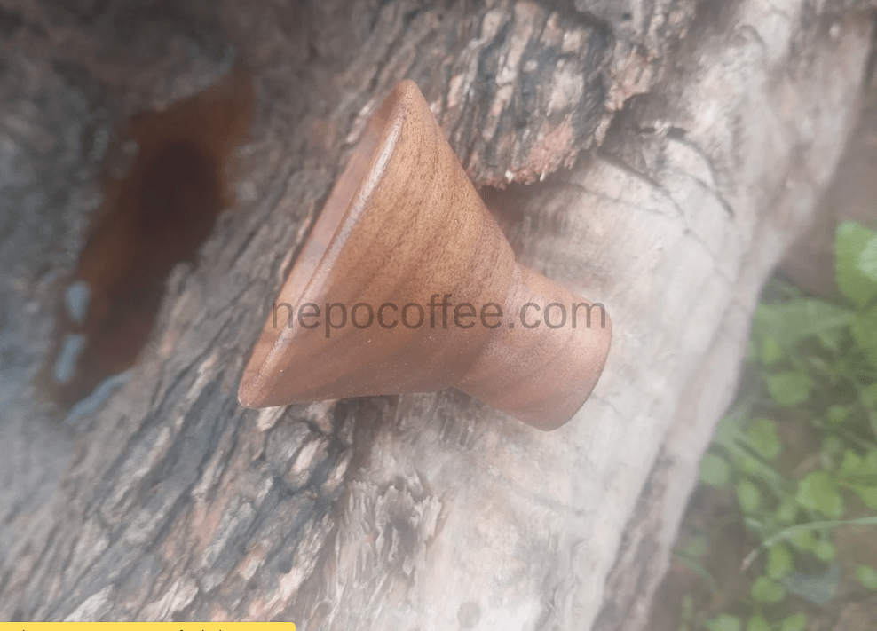 Handmade Wood Funnel For Coffee Bean Storage