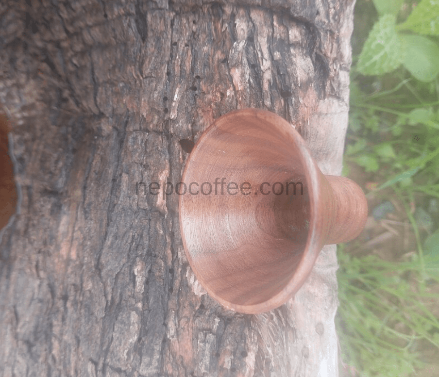 Handmade Wood Funnel For Coffee Bean Storage